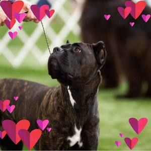 Meet your Posher, Dee